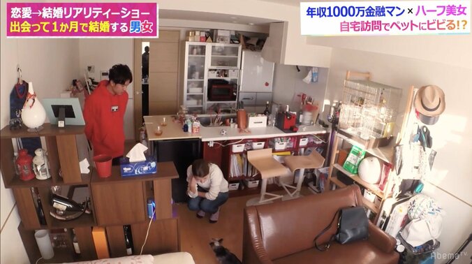 藤森慎吾、彼女のペットは爬虫類がベスト！？種類よりも「臭い」が重要 2枚目