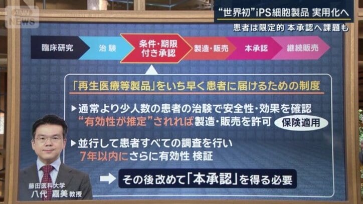 藤田医科大学 八代嘉美教授