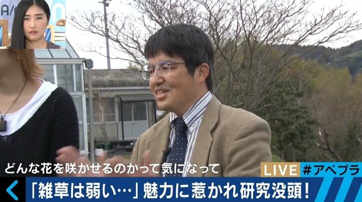 「雑草」に学ぶ現代人の生き方、“一番重要な変化しないもの”に合わせて変化する