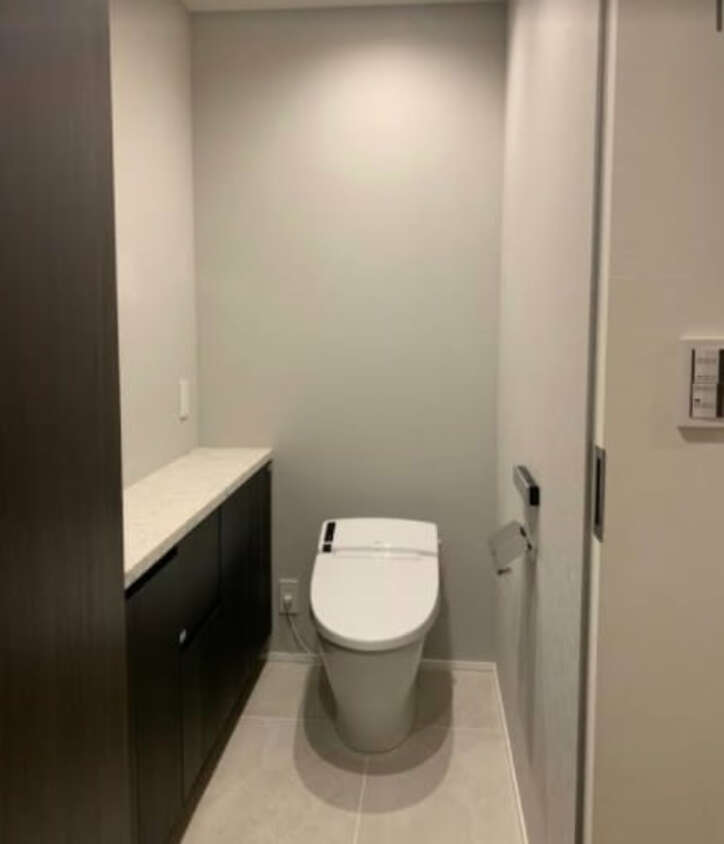 あいのり・桃、リノベーションする新居のトイレを公開「変えたい願望が出てきてしまって」