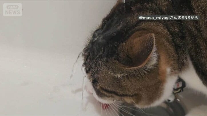 頭に水がジャー