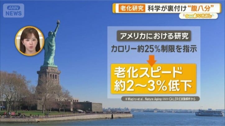 カロリー摂取を25％制限する実験で