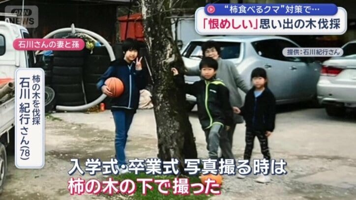 記念撮影の場所として親しまれてきた柿の木は…