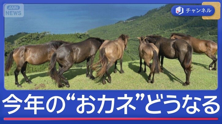 2026年のおカネ事情 物価・賃金・株価・光熱費 専門家の予想は