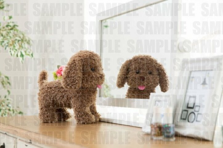 ふわもこに癒される！ TVアニメ『ユーリ!!! on ICE』ヴィクトルの愛犬「マッカチン」等身大ぬいぐるみ登場　勝生勇利の愛犬「ヴィっちゃん」も同時発売