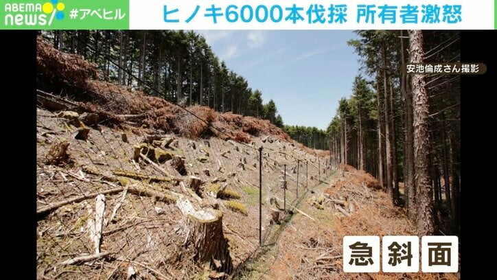 「頭にきている」「何のためにしたのか」間伐のはずが… 勝手にヒノキ6000本伐採 所有者激怒
