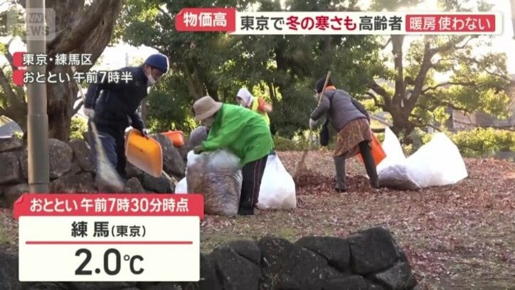 東京・練馬の光が丘団地で行われた有志による落ち葉拾い