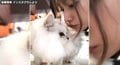 後藤真希が「モフモフが爆発寸前」な愛猫と戯れる動画に「たまらん、、」「猫になりたい」の声