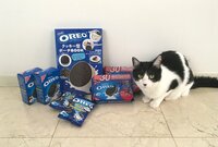 藤あや子『すごーい贈り物‼︎』