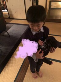 市川海老蔵『直立不動』