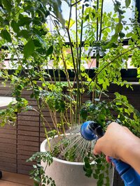 堀ちえみ『顔だけ見に来て1分もいなかった息子』