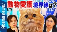 動物愛護の境界線は!? 猫カフェ・動物園・食肉は全部禁止?女優・杉本彩と考える