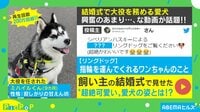 結婚式で見せた"超絶可愛い"愛犬の姿
