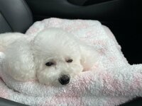 研ナオコ『自宅で撮影』