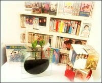 ミッツ・マングローブ『20年目のマングローブ』