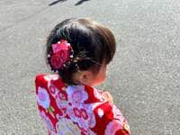 たんぽぽ白鳥久美子『七五三』