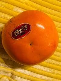 戸田恵子『めまぐるしくいそがしかったぁ！』