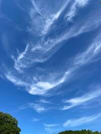 野口五郎『今日の出来事‼️』