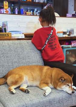  パンサー尾形の妻、新居を建てるために相談していること「我が家の課題をもとに」 