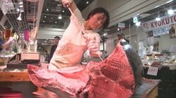 230キロ超え巨大マグロを豪快に解体　築地唯一の女性“ツナプリンセス”の挑戦