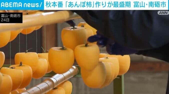 あんぽ柿