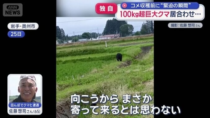 あっという間に近付いてくるクマ
