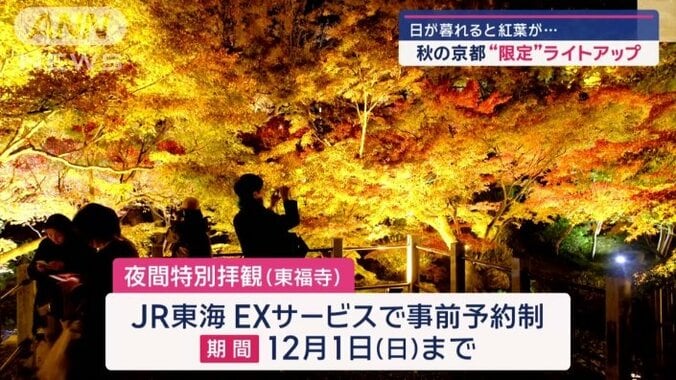 夜の特別拝観は12月1日まで（事前予約制）