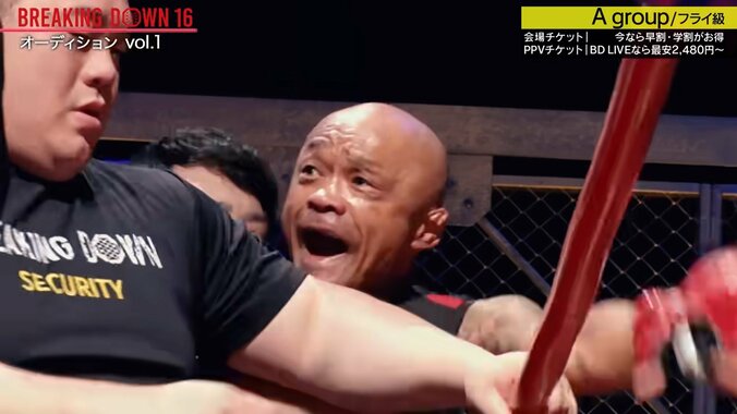 【写真・画像】　1枚目