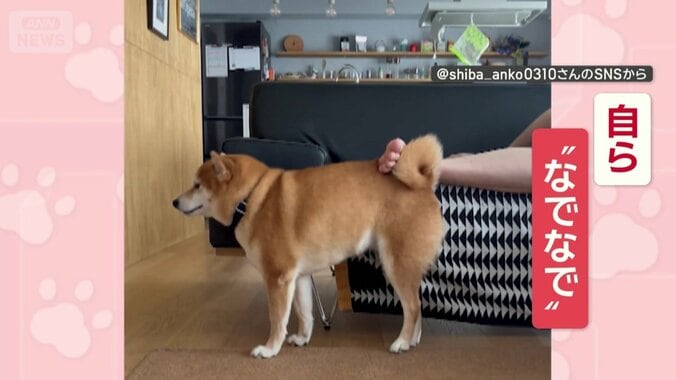 自ら“なでなで”