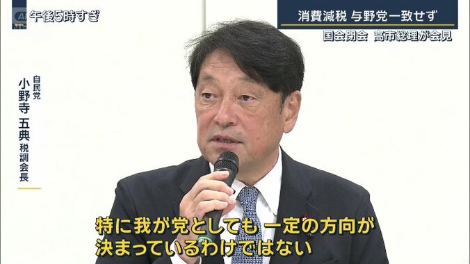 自民党　小野寺五典税調会長