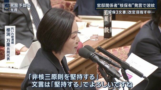 れいわ新選組　櫛渕万里共同代表