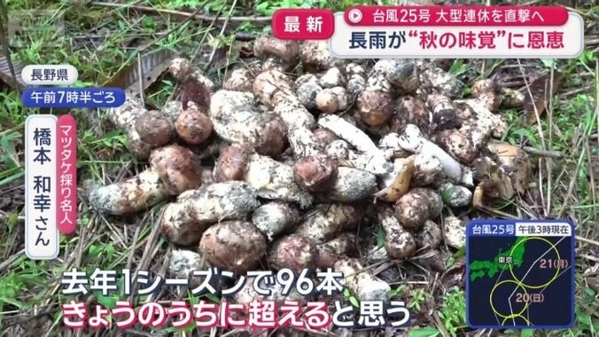 例年の3倍ほどの収穫