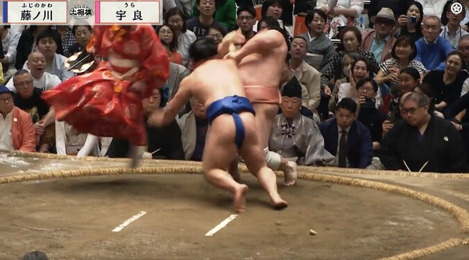 「宇良の上を行った」「身体能力すごい」宇良の取組で驚きの一コマ 土俵際、華麗な身のこなしに「行司が牛若丸に」ファン注目 2枚目