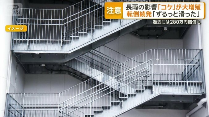 意外な場所でもコケ増殖