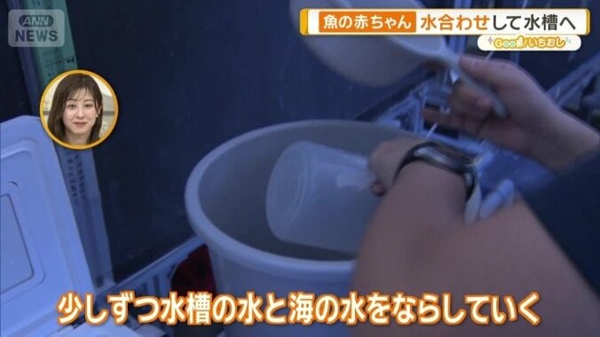 「水合わせ」の作業