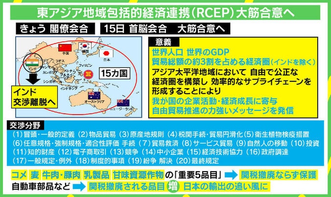 RCEP署名で移民流入はある？ 中国・韓国と結ぶ初の貿易協定で変わること 2枚目