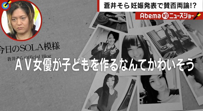 元セクシー女優、蒼井そら騒動に持論　「未来を切り売り、犠牲にする仕事」と若者に警鐘 2枚目