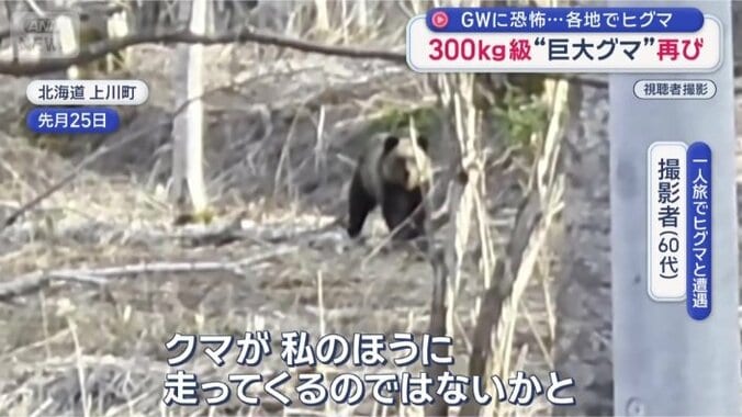 「クマが私の存在に気付いて…」