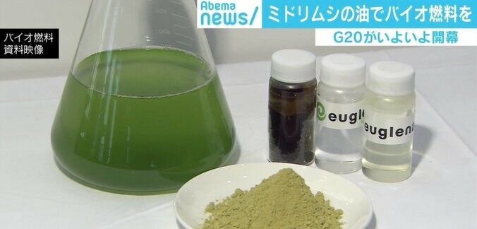 G20開幕の裏で注目、ミドリムシ由来の「バイオディーゼル燃料車」が世界初の公道走行 2枚目