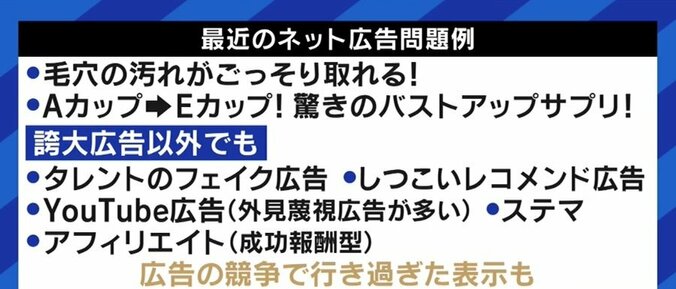 誰もが目にしたことがある?“毛穴どアップ画像”などのコンプレックス広告がサイトに表示され続ける背景 4枚目