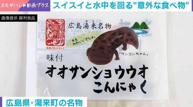 オオサンショウウオの形をしたこんにゃく