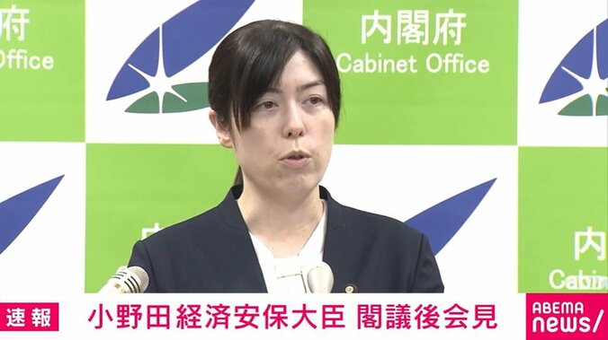 小野田紀美大臣