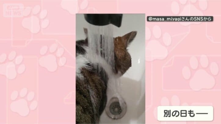 気にしませんよ