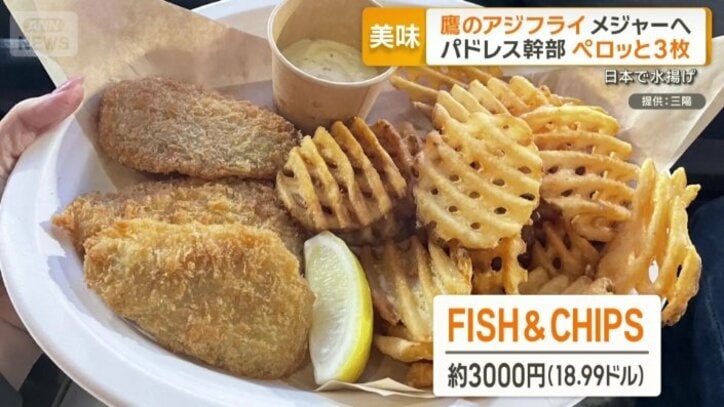 メジャーリーグ球場での販売が実現
