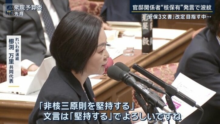 れいわ新選組 櫛渕万里共同代表