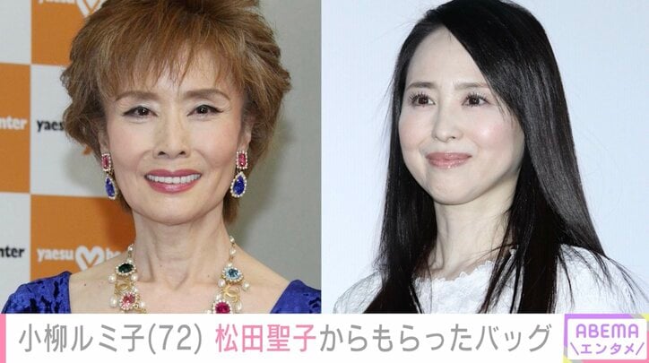 【写真・画像】小柳ルミ子、松田聖子からもらったエコバッグに反響「可愛いですよね」「活躍しているねー」　1枚目