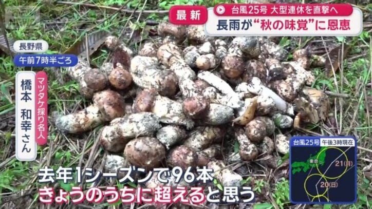 例年の3倍ほどの収穫