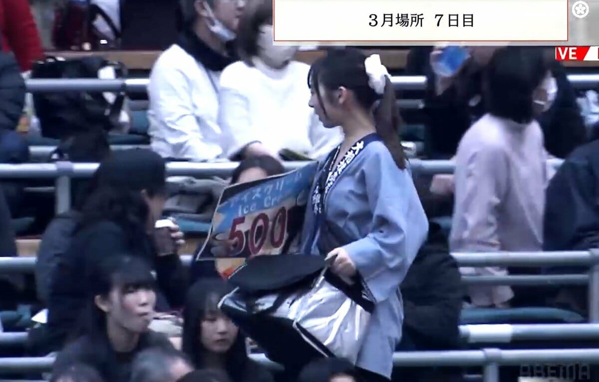 大相撲 観客 美人