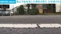 路上で血を流した男性が死亡 ひき逃げか