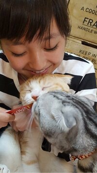 谷花音『早起きした日』